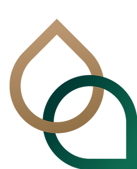 TurningPoint Logo Colour NoTag