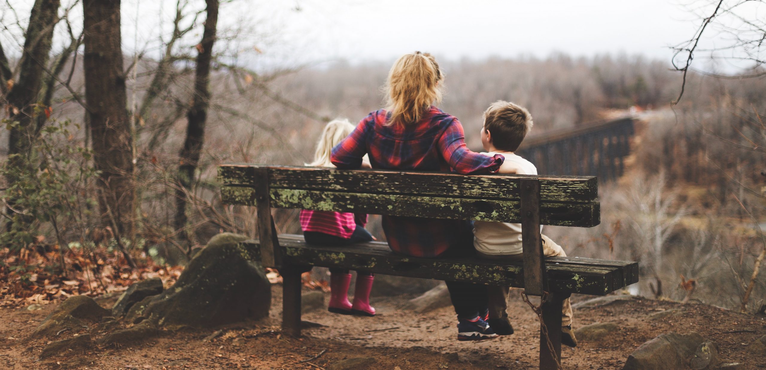 Family law is constantly evolving to promote positive co-parenting relationships.